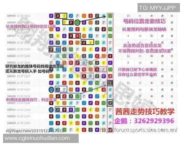 大乐透彩客网杀号真人揭秘精准选号技巧与实战经验分享